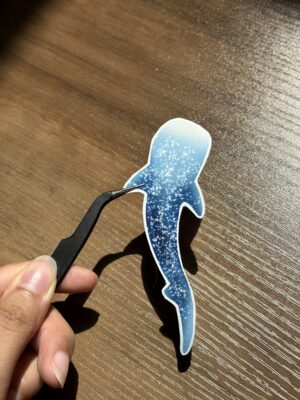Requin-baleine étoilé