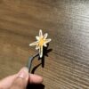 Étoile scintillante