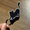 Chat noir