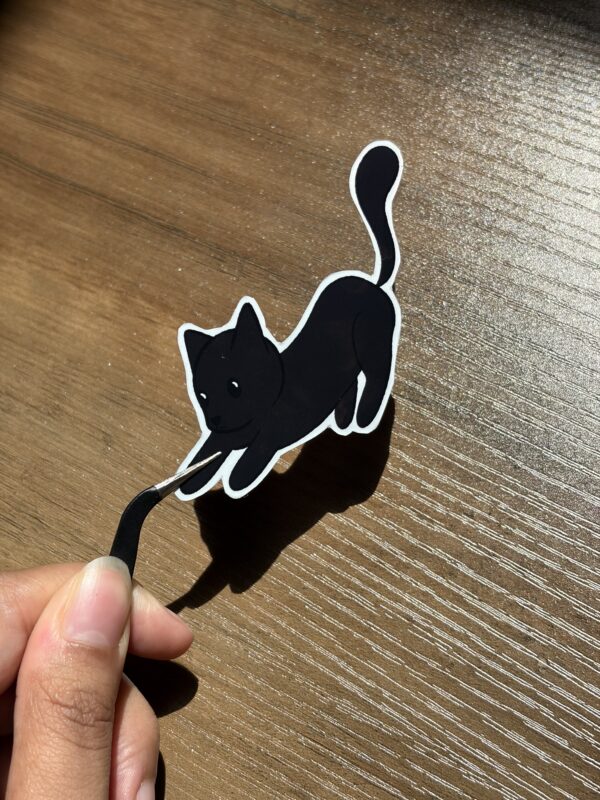 Chat noir