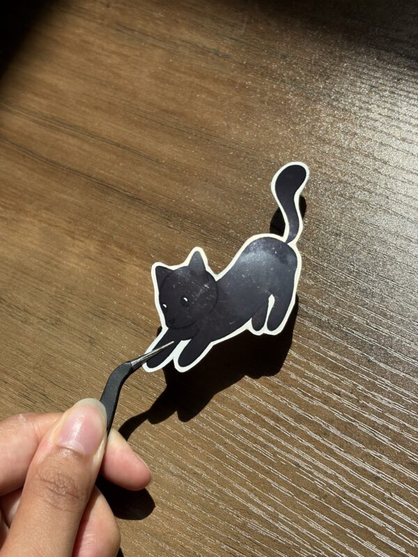 Chat noir