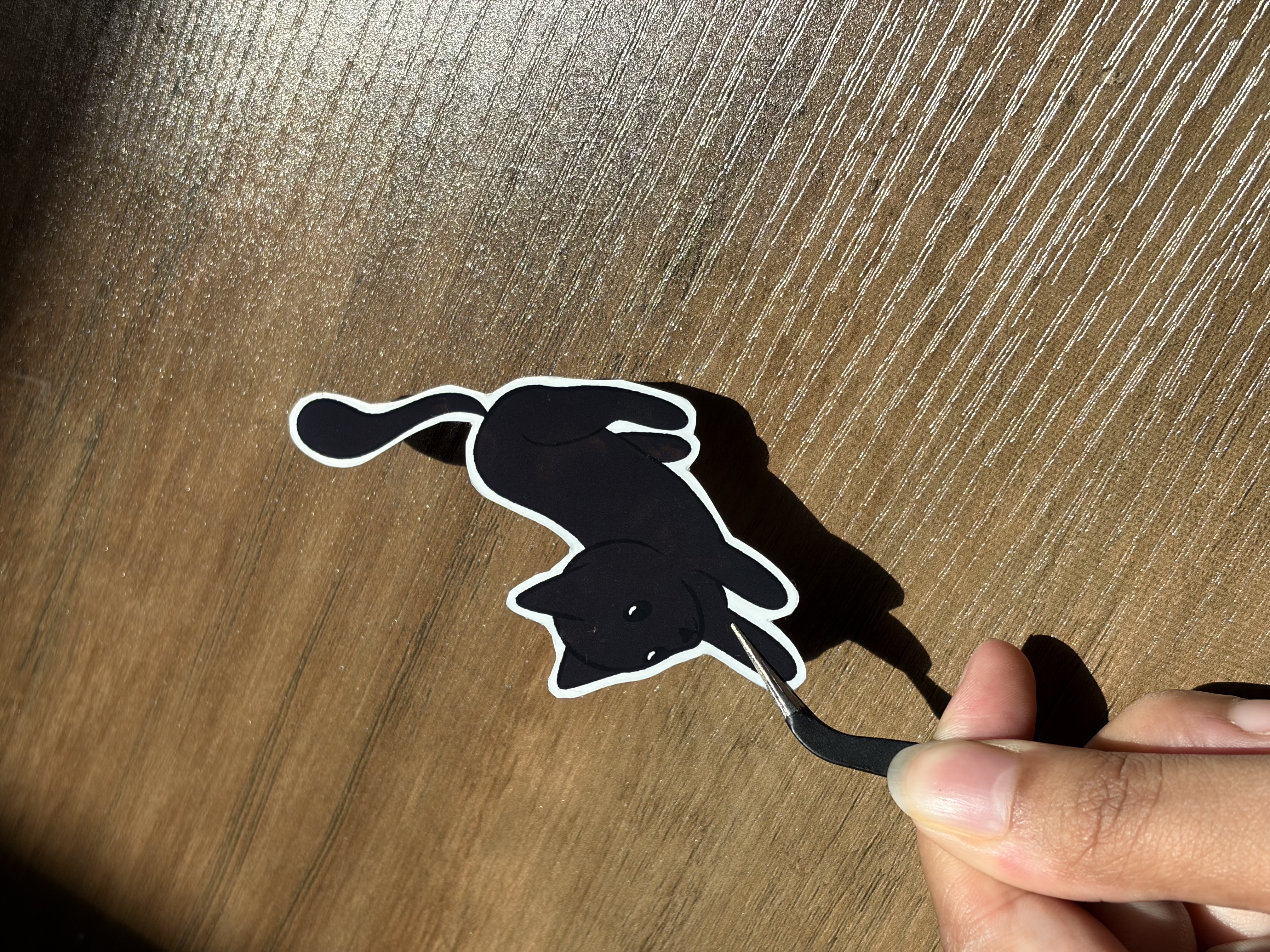 Chat noir