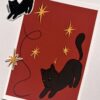 Pack chasse aux étoiles